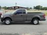 2008 Gray Ford F150 Regular Cab (1FTRF12228K) with an V8, 4.6 Liter engine, Automatic, 4-Spd w/Overdrive transmission, located at 8008 Warden Rd, Sherwood, AR, 72120, (501) 801-6100, 34.830078, -92.186684 - Photo#4